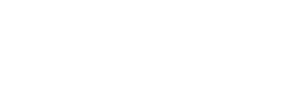 logo-Endesa-300x600-(Blanco)
